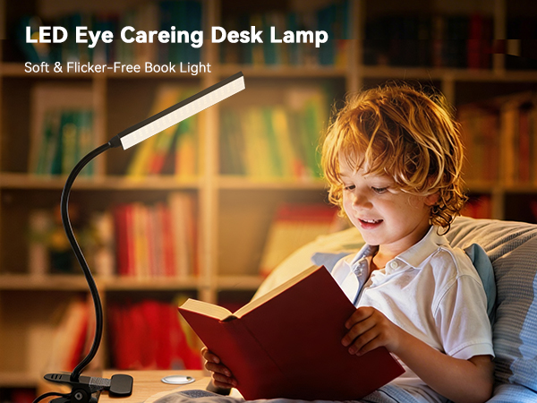 Clip On Desk Lamp