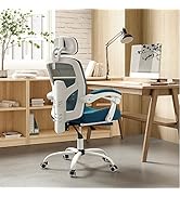 Sweetcrispy Office Computer Desk Chair with Footrest,Ergonomic High-Back Mesh Rolling Work Swivel...