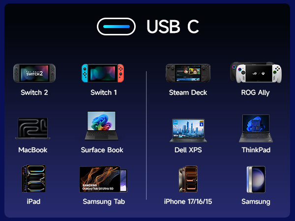 Switch dock