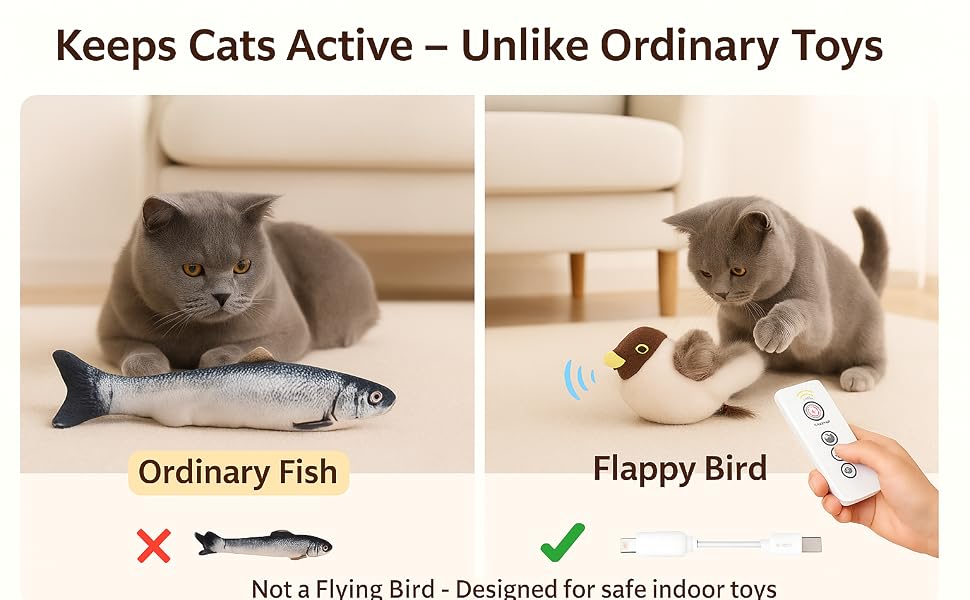cat bird toy flying