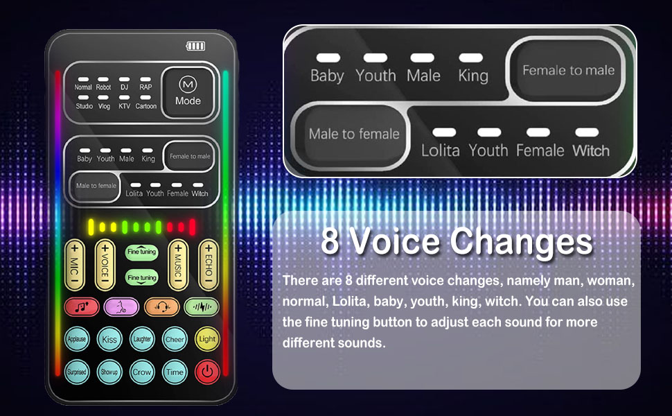 Portable Voice Disguiser