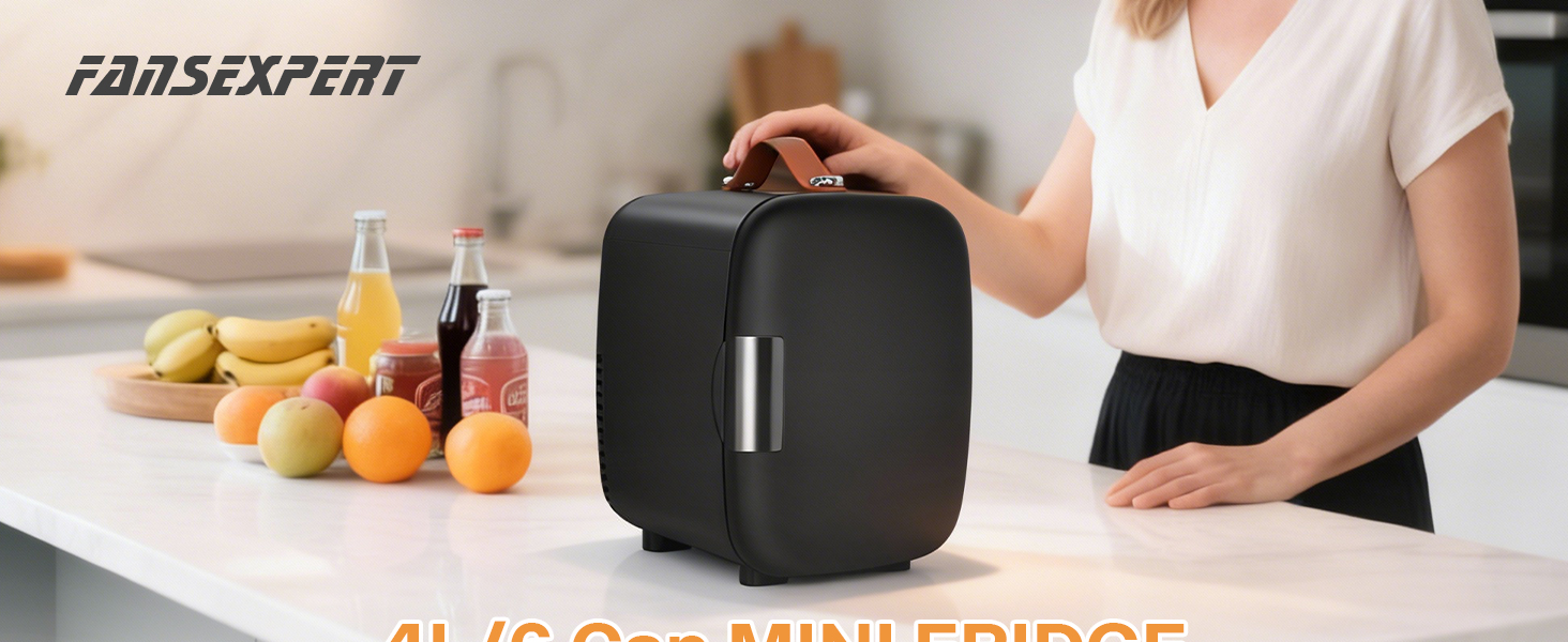 Mini Fridge