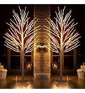 TW SHINE 2Pack Lighted Birch Tree, 6 FT Total 288LED Pre-lit Artificial Christmas Trees for Thank...