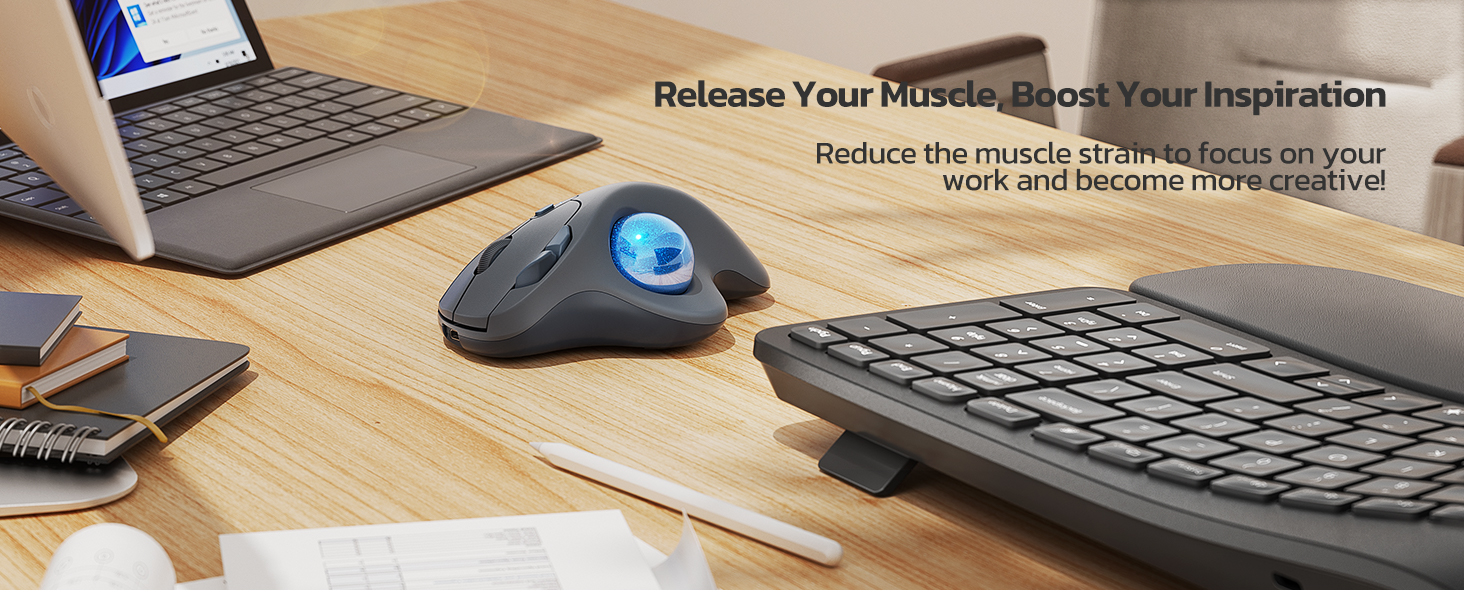 Trackball Mouse