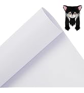 BENECREAT Custom Fursuit Eye Mesh, 39x11.8inch White PVC Plastic Net 0.2mm Thick Waterproof Print...