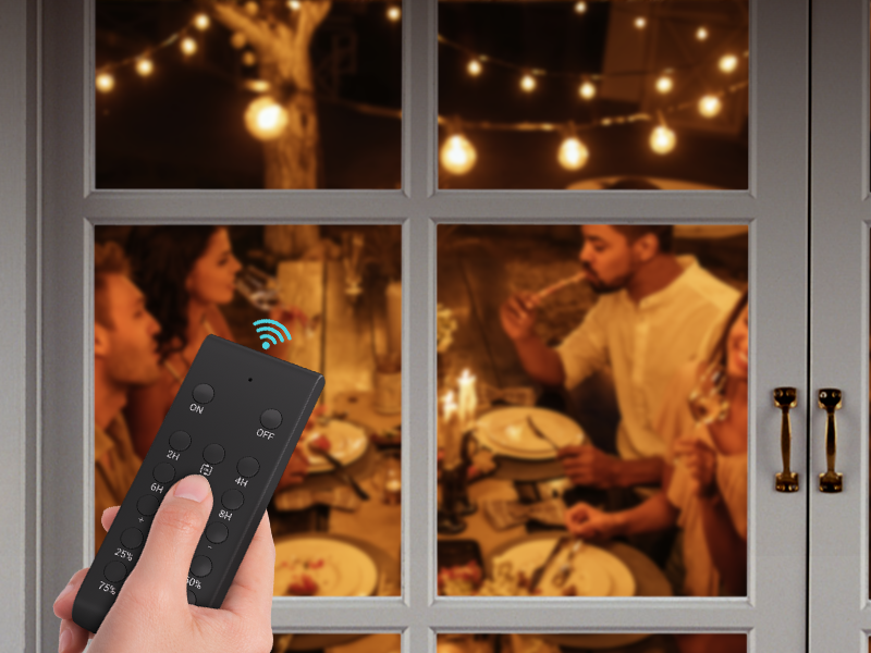 dimmer plug