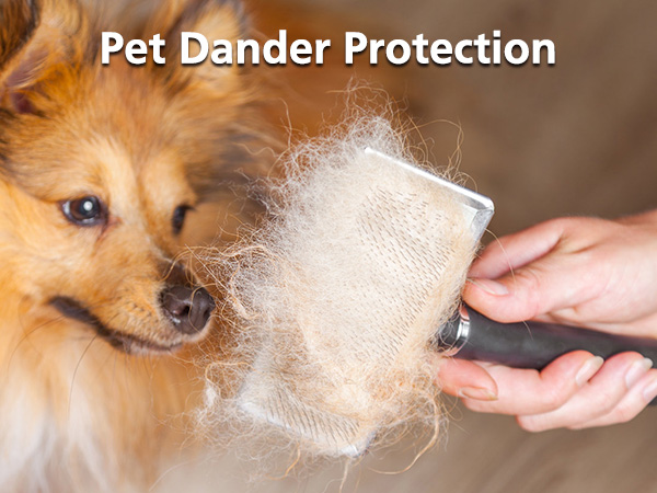 Pet Dander Protection