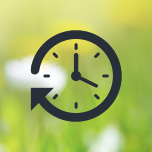 Daylight Saving Time