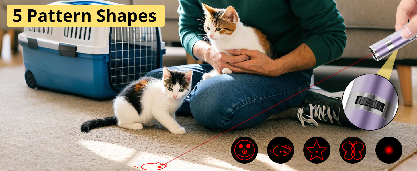 cat toys