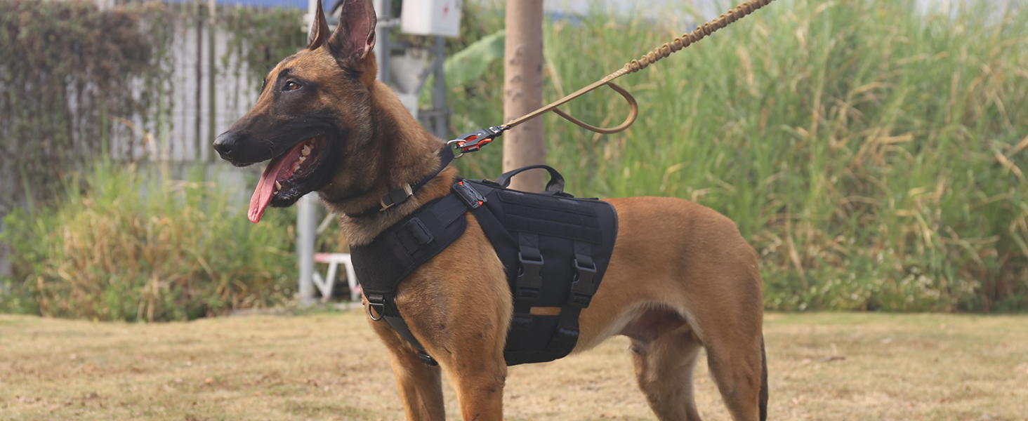 k9 vest black