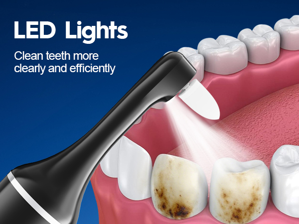LED Light