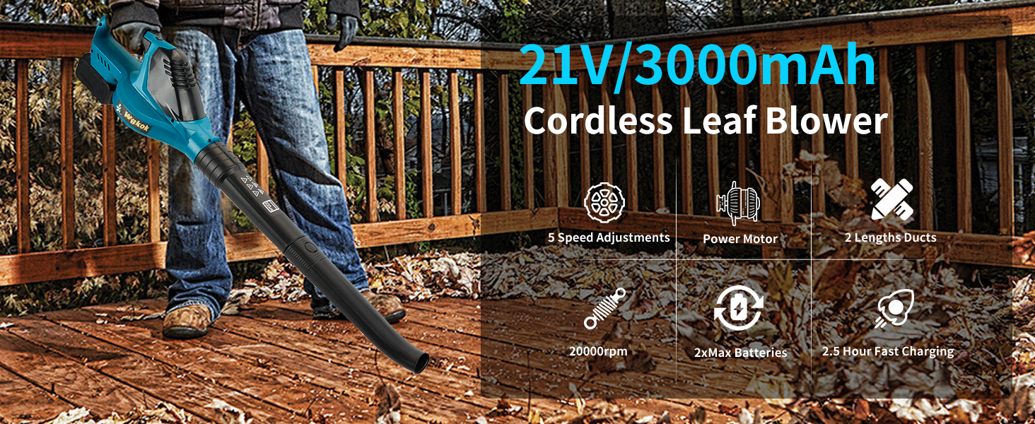 Leaf Blower Cordless