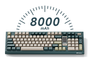 8000mAH
