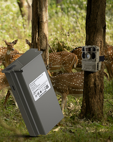 Trail Camera Battery Pack