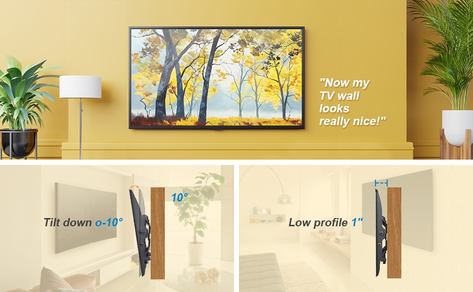 wall mount