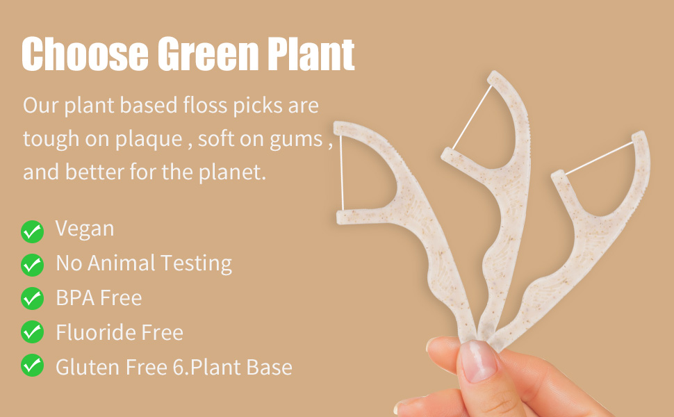 Biodegradable Dental Floss Picks 