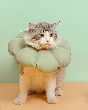 https://m.media-amazon.com/images/S/aplus-media-library-service-media/c56e9c53-2747-42ce-8bfa-4e7244d9813e.__CR0,0,3500,4380_PT0_SX362_V1___.jpg
