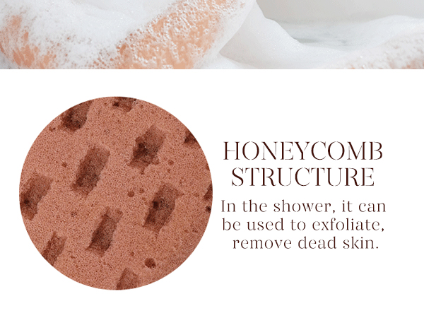 Bath Sponge