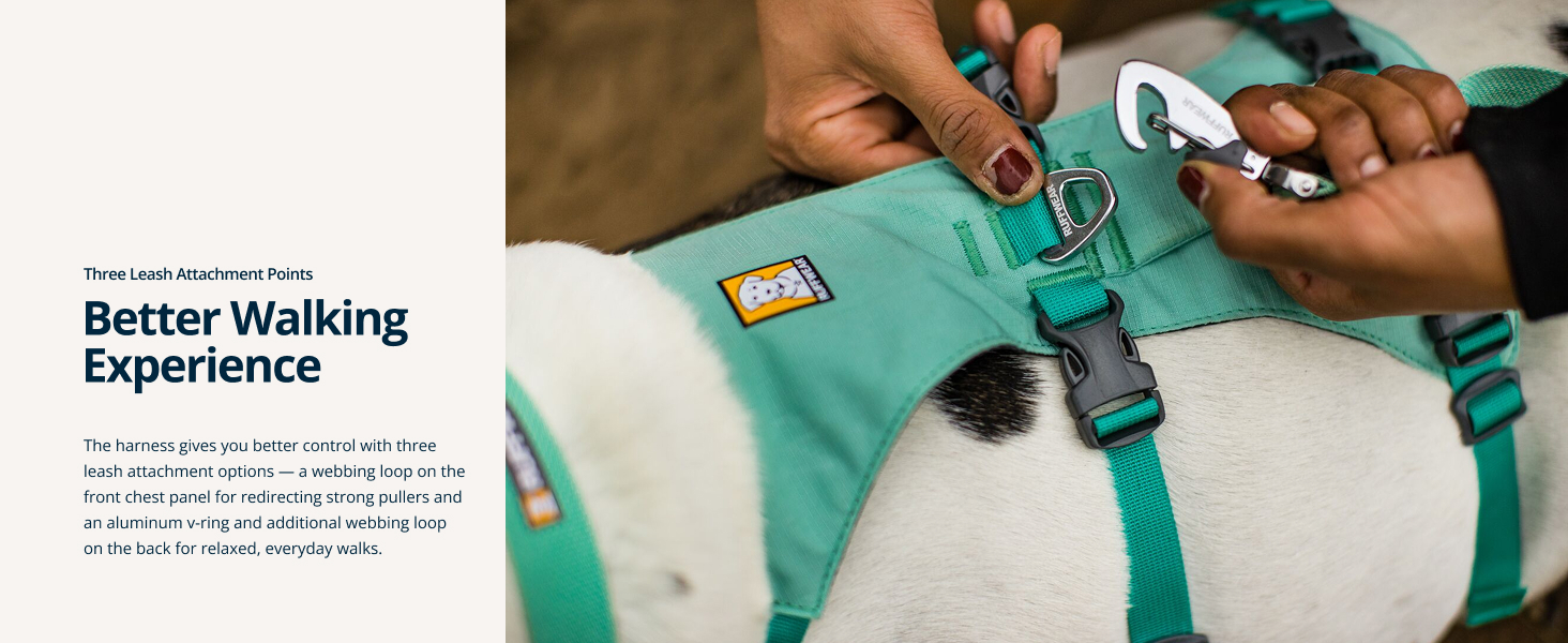 Strong dog harness heavy duty design for confident control and all-day comfort.