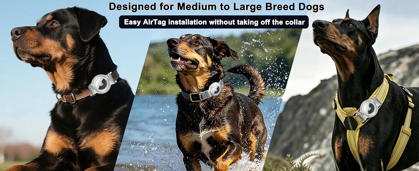 dog collar for airtag