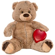 Red Talking Heart + Grizzly Bear