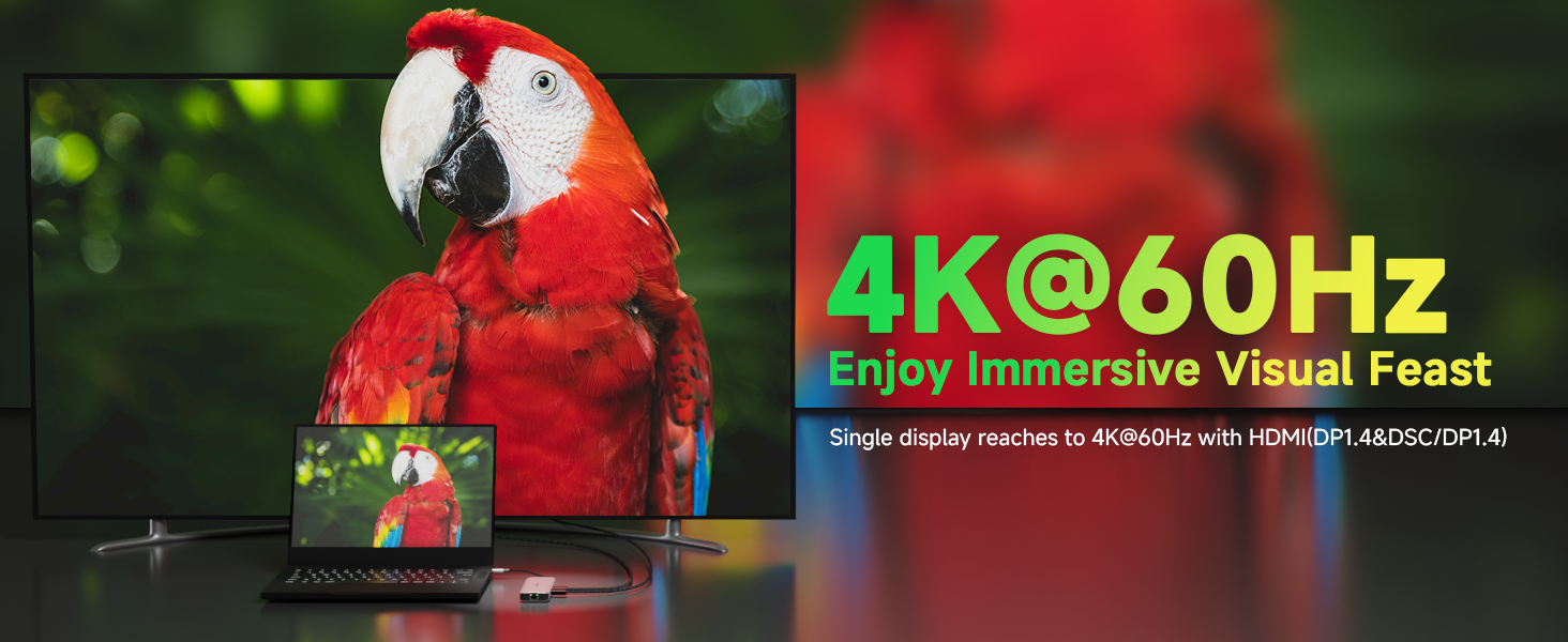 Laptop Docking Station