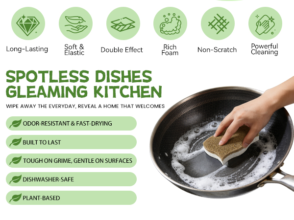 kitchen sponge
