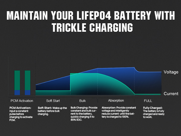 trickle charger