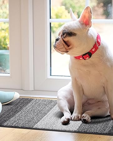 indoor mat for pet