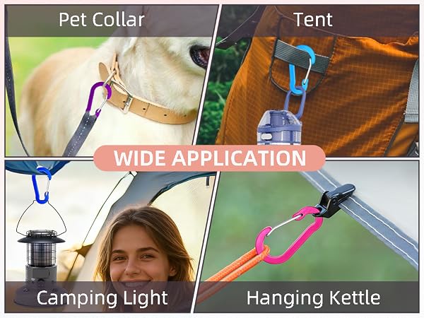 Small Carabiner Clip