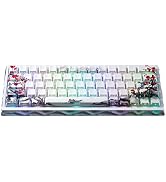 JSJT EV63 Gaming Keyboard, 60% Plum Blossom Wired Hot-Swappable Hall Effect Keyboard, CNC Aluminu...