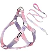AIITLE Dog Harness Easy On and Off - Step in Adjustable Pet Harness with A Leash -No Pull Escape ...