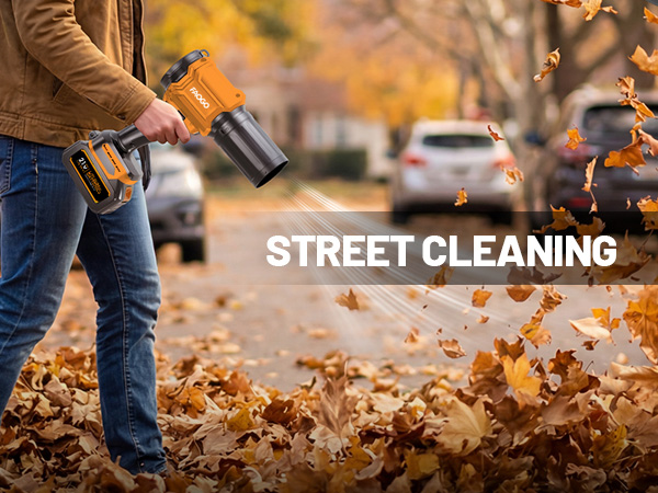 Cordless Leaf Blower