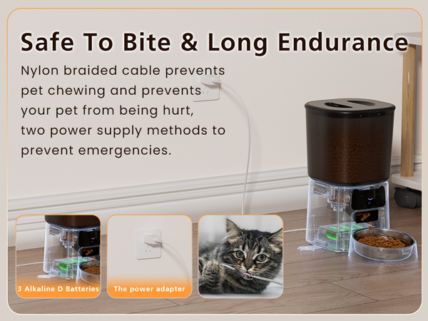 Automatic cat Feeder