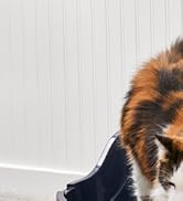 The Original Gorilla Grip Water Resistant Cat Litter Box Trapping Mat 35x23, Easy Clean, Textured...