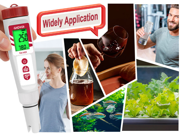 Multifunctional test pen