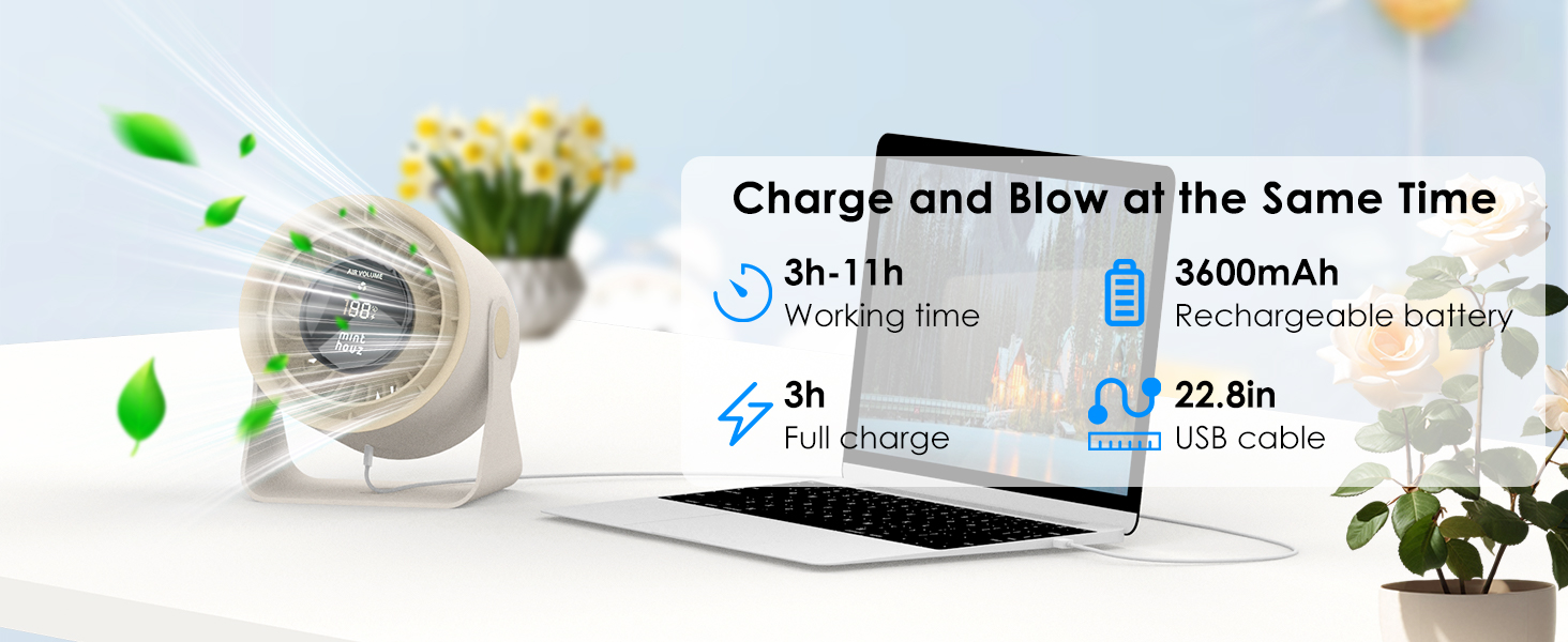 Desk Fan, mini fan, wall mounted, portable fan