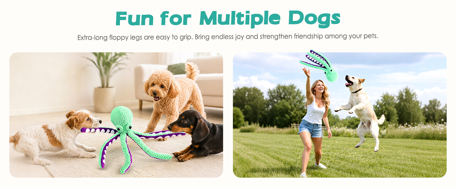 large dog toys