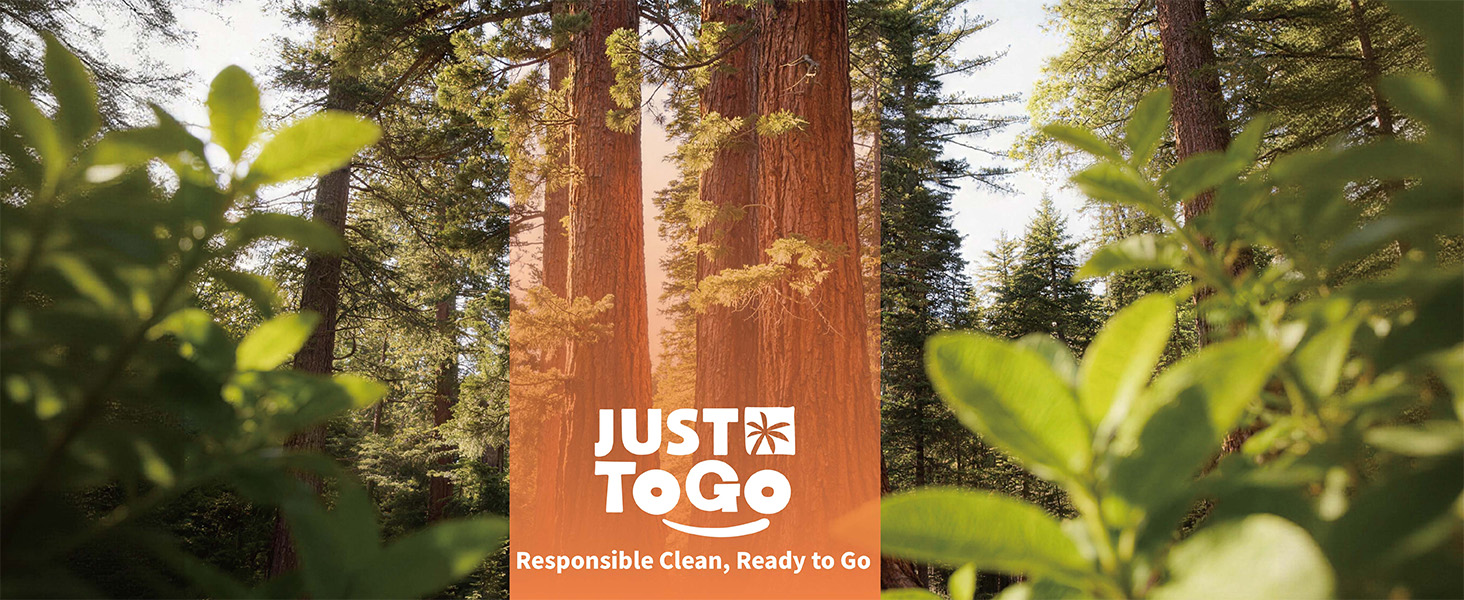 Responsible Clean, Ready to Go