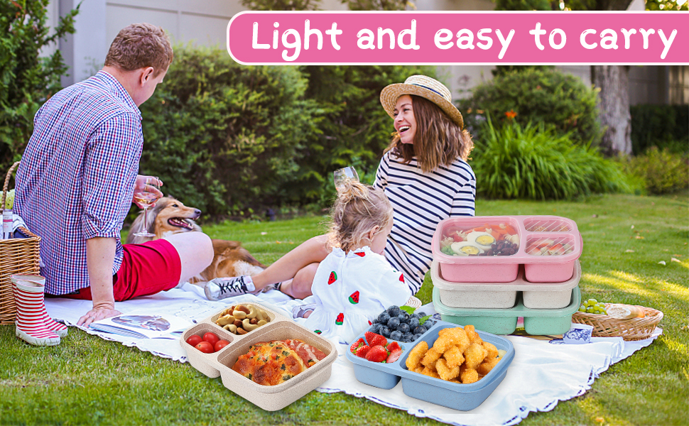 Our lunch boxes are available in 3-compartment