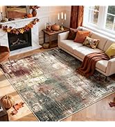 RELEANY Washable Area Rugs 5'x7' Non-Slip Modern Abstract Soft for Living Room Entryway Bedroom N...