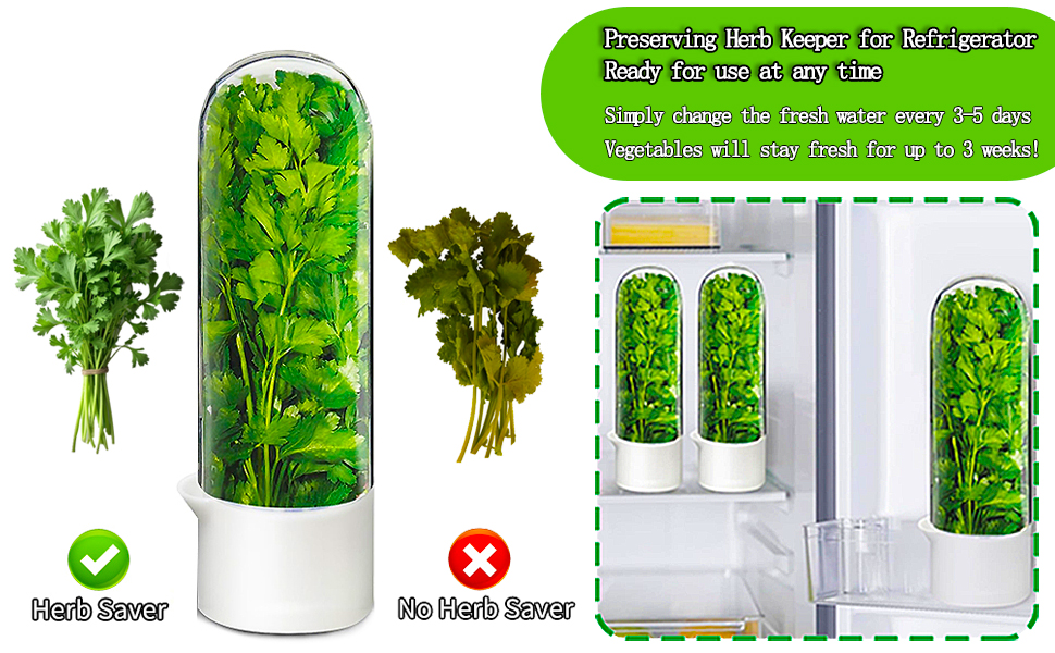 Fresh Herb Keeper