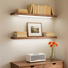 shelf light