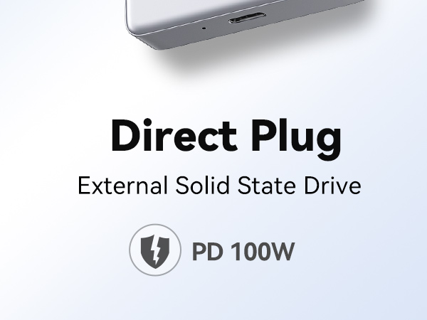 PD100W fast charging
