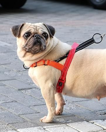 SBH048 no pull dog harnss