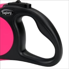 retractable dog leash