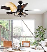 feather duster for cleaning