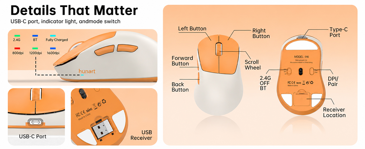 H6 mouse