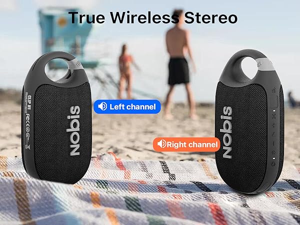 True Wireless Stereo