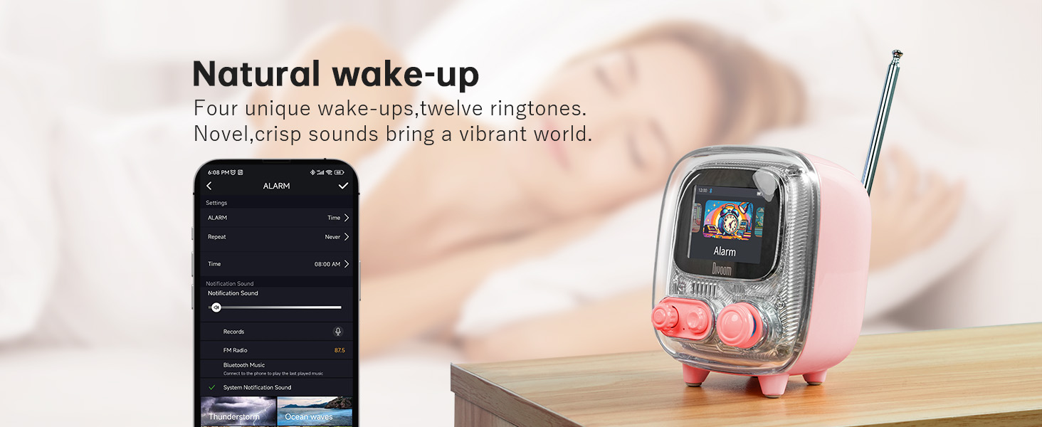 bluetooth speaker loud